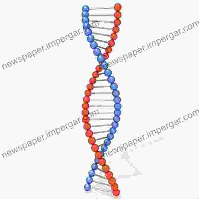 A Model Of The DNA Molecule. Breakthrough : How The 10 Greatest Discoveries In Medicine Saved Millions And Changed Our View Of The World