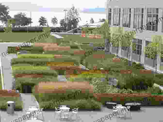 A Modern Landscape Design Featuring A Flowing Stream, Native Plants, And A Seating Area To Breathe With Birds: A Of Landscapes (Penn Studies In Landscape Architecture)