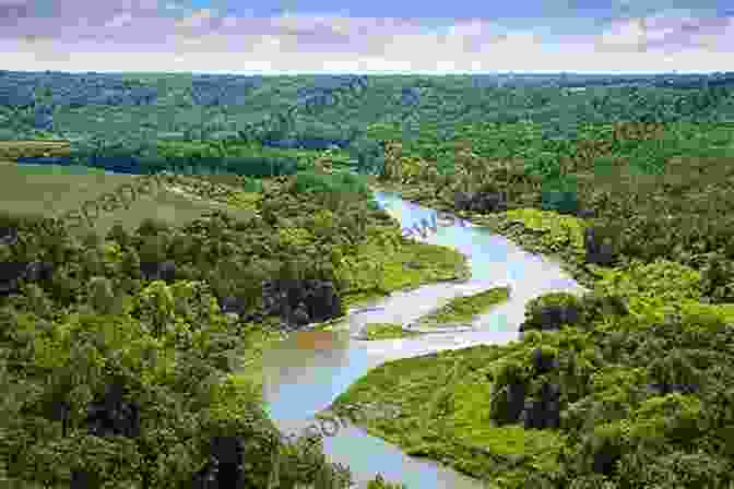 A Panoramic View Of A Lush Green Forest With A Winding River Flowing Through It, Representing The Transformative Journey Of The Peace Corps Volunteers All You Need Is Love: The Peace Corps And The Spirit Of The 1960s