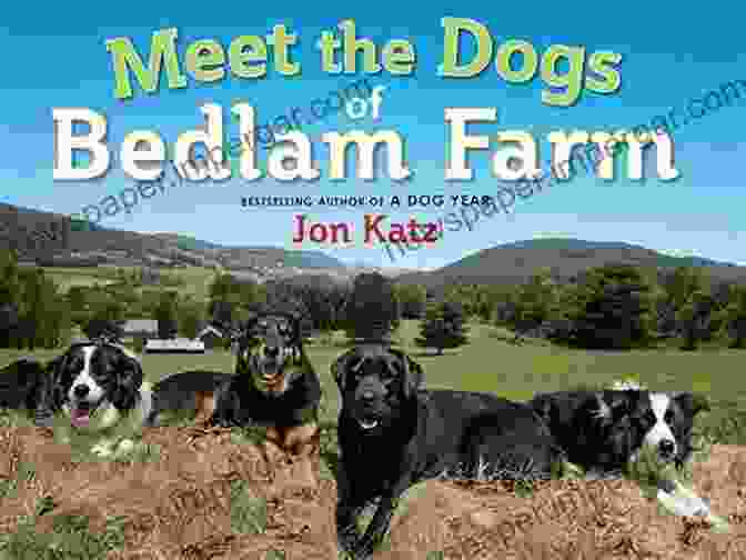 A Photo Of The Author Surrounded By Dogs At Bedlam Farm Dog Days: Dispatches From Bedlam Farm