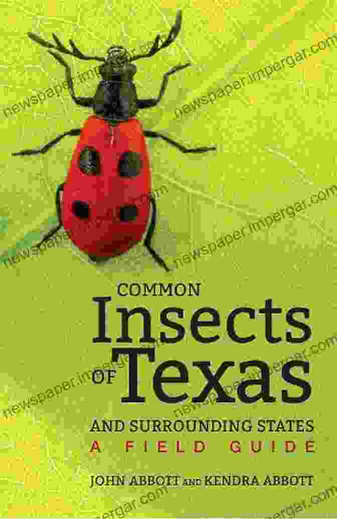 A Vibrant Collage Of Insects Found In Texas And Surrounding States, Showcasing Their Diverse Colors, Shapes, And Textures Common Insects Of Texas And Surrounding States: A Field Guide (Dorrie Herring Hooks 71)