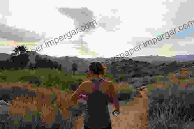 A Woman Hiking Alone In A Remote Desert, Surrounded By Towering Rock Formations A Quiet Place In Dust Dirt: Ruined Farms Cottages In Ceredigion Wales 1989 2024