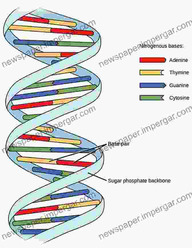 An Image Of A DNA Helix, Representing The Fundamental Building Blocks Of Life. A Century Of Science And Other Essays