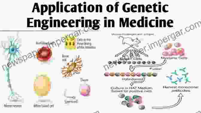 Applications Of Mechanobiology In Medicine, Engineering, And Biotechnology Mechanics Of Biological Systems: To Mechanobiology And Experimental Techniques (IOP Concise Physics)