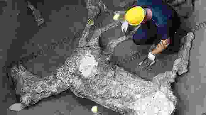 Archaeological Excavation Revealing The Remains Of An Ancient Palace From Leaders To Rulers (Fundamental Issues In Archaeology)