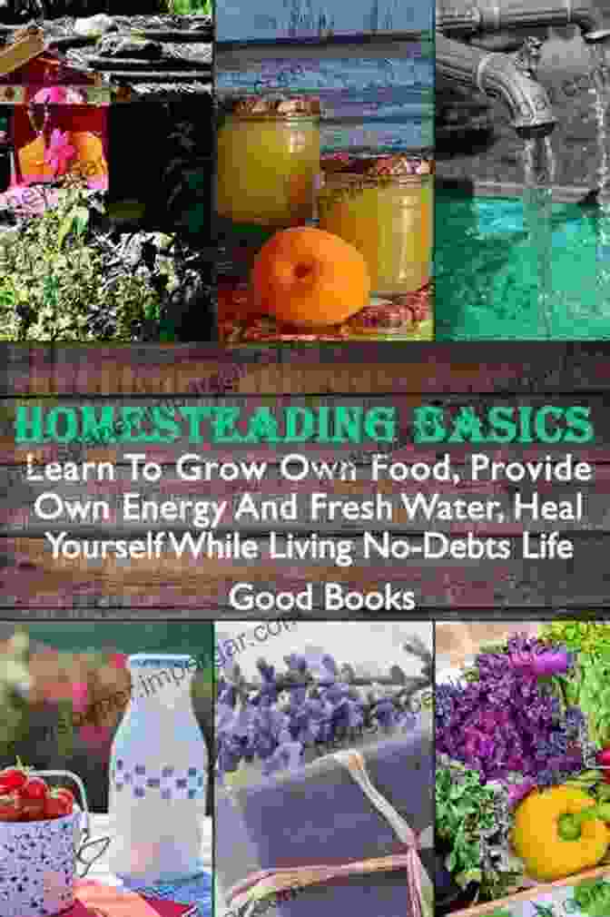 Book Cover Of 'Learn To Grow Own Food Provide Own Energy And Fresh Water Heal Yourself While' Homesteading Basics: Learn To Grow Own Food Provide Own Energy And Fresh Water Heal Yourself While Living No Debts Life