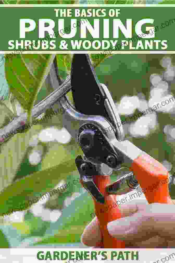 Essential Pruning Tools For Shaping And Maintaining Woody Crops Water Scarcity And Sustainable Agriculture In Semiarid Environment: Tools Strategies And Challenges For Woody Crops