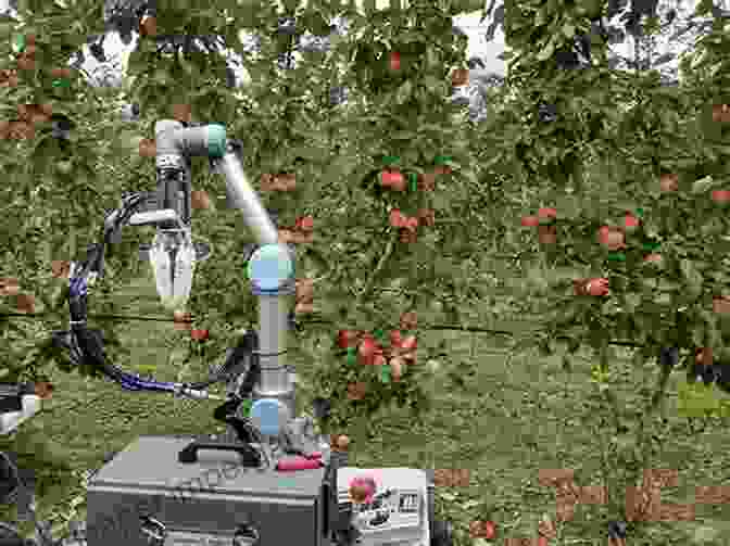 Harvesting Apples Using Efficient Handheld Tools Water Scarcity And Sustainable Agriculture In Semiarid Environment: Tools Strategies And Challenges For Woody Crops