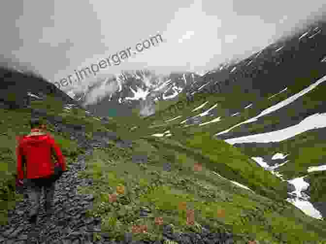 Hiker Battling Against Tempestuous Weather On Alaskan Trail In The Shadow Of Denali: Life And Death On Alaska S Mt Mckinley