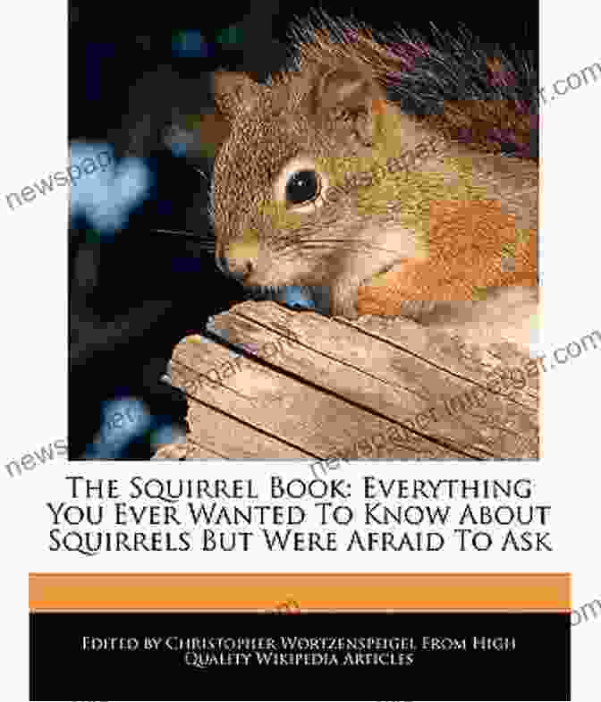 Hope You Find Your Squirrel Book Cover I Hope You Find Your Squirrel: Recognizing And Overcoming Abuse