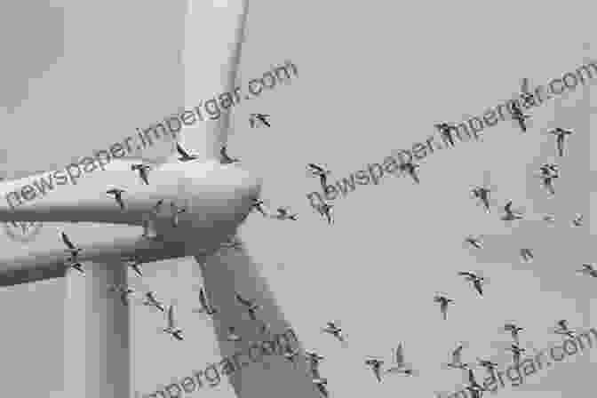 Image Of A Bird Flying Near An Offshore Wind Turbine With Minimal Noise Tracking The Impacts Of Innovation: Offshore Wind As A Case Study