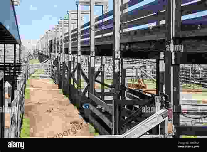 Image Of A Dusty Old Cattle Yard With Weathered Wooden Pens, Evoking The Lost Era Of The Fort Worth Stockyards Lost Fort Worth