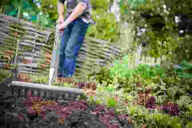 Image Of A Gardener Preparing Soil For A Rose Garden BEGINNERS GUIDE TO ROSE GARDENING: An Easy Guide To Start And Sustain A Thriving Rose Garden