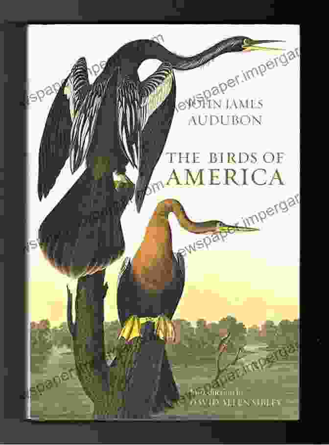 John James Audubon's The Birds Of America The Birds Of America John James Audubon