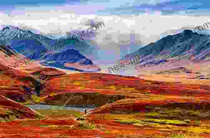 Majestic Denali Towering Over Pristine Alaskan Wilderness In The Shadow Of Denali: Life And Death On Alaska S Mt Mckinley