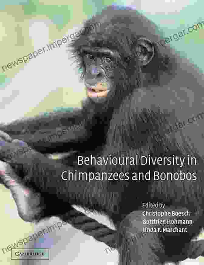 Parenting In Bonobos Behavioural Diversity In Chimpanzees And Bonobos