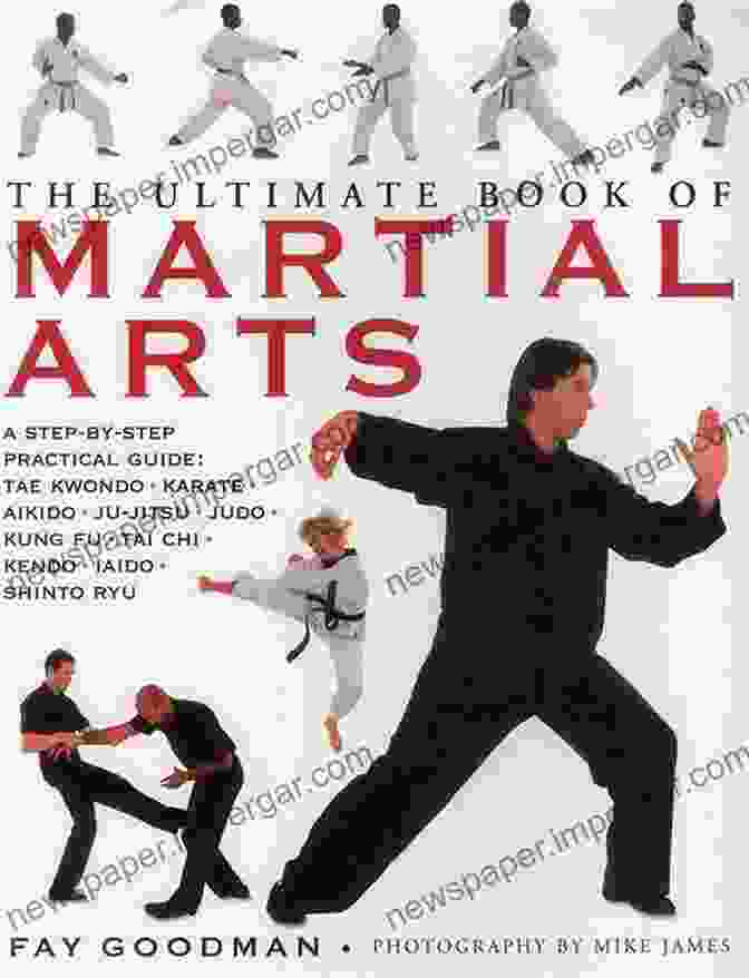 Stages Of The Tournament Book Cover, Featuring A Martial Artist Performing A Dynamic Kick. Secrets Of Professional Tournament Poker Volume 2: Stages Of The Tournament