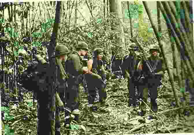 Wolfhounds Advancing Through The Jungle During Combat My 365 DAYS WITH THE WOLFHOUNDS IN VIETNAM 1968 1969: A COMBAT VETERAN S JOURNEY