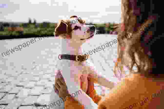 Woman Bonding With A Dog Talking To Animals: How You Can Understand Animals And They Can Understand You