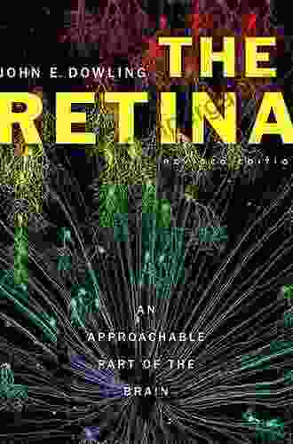 The Retina: An Approachable Part Of The Brain Revised Edition