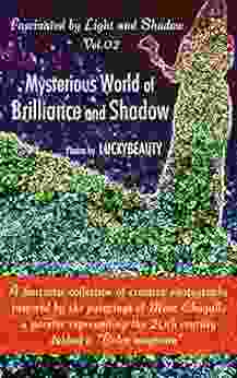 Mysterious World Of Brilliance And Shadow: Fascinated By Light And Shadow Vol 02