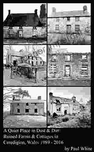 A Quiet Place In Dust Dirt: Ruined Farms Cottages In Ceredigion Wales 1989 2024