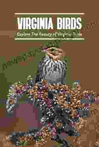 Virginia Birds: Explore The Beauty Of Virginia Birds: Birds Of Virginia