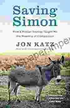 Saving Simon: How A Rescue Donkey Taught Me The Meaning Of Compassion