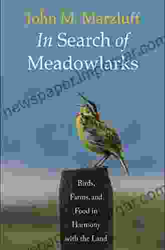 In Search Of Meadowlarks: Birds Farms And Food In Harmony With The Land