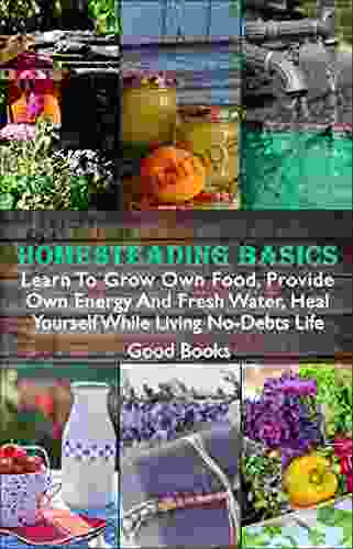 Homesteading Basics: Learn To Grow Own Food Provide Own Energy And Fresh Water Heal Yourself While Living No Debts Life