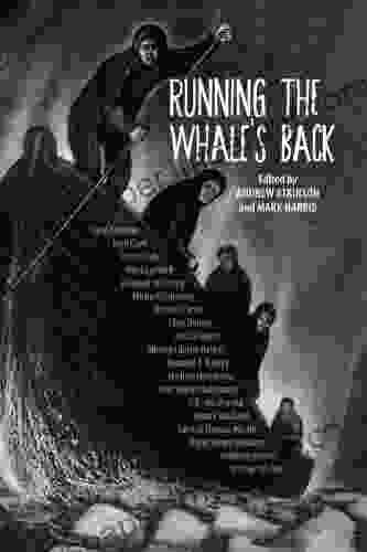 Running The Whale S Back: Stories Of Faith And Doubt From Atlantic Canada