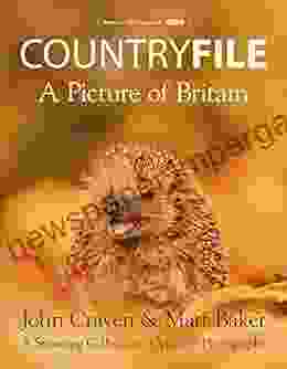 Countryfile A Picture Of Britain: A Stunning Collection Of Viewers Photography