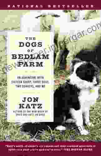 The Dogs Of Bedlam Farm: An Adventure With Sixten Sheep Three Dogs Two Donkeys And Me