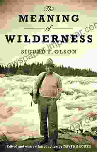 The Meaning Of Wilderness (Fesler Lampert Minnesota Heritage)