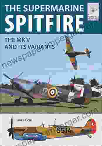 The Supermarine Spitfire MKV: The MK V And Its Variants (FlightCraft 15)