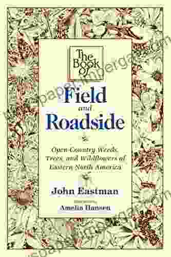 The Of Field And Roadside: Open Country Weeds Trees And Wildflowers Of Eastern North America