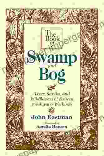 The Of Swamp Bog: Trees Shrubs And Wildflowers Of Eastern Freshwater Wetlands