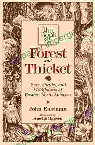 The Of Forest Thicket: Trees Shrubs And Wildflowers Of Eastern North America