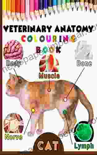 Veterinary Anatomy Colouring Book: Cat Anatomy Veterinary Physiology Workbook For Vet Nurses And Students 8 5 X 11 70 Pages