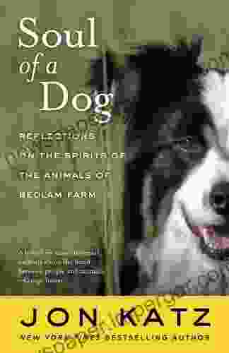 Soul Of A Dog: Reflections On The Spirits Of The Animals Of Bedlam Farm