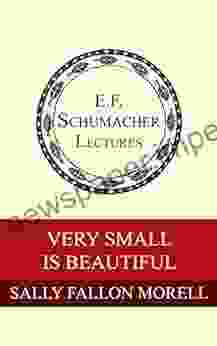 Very Small Is Beautiful (Annual E F Schumacher Lectures 28)